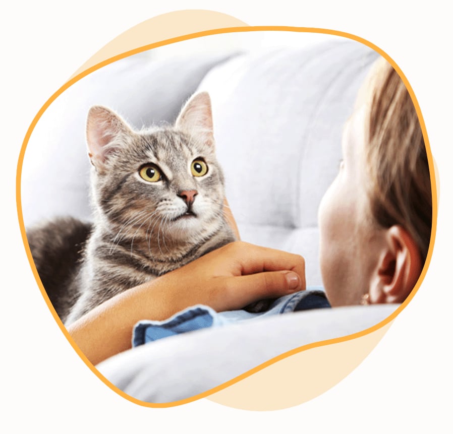 Overnight Pet Sitting Rates Near Me in Chapel Hill